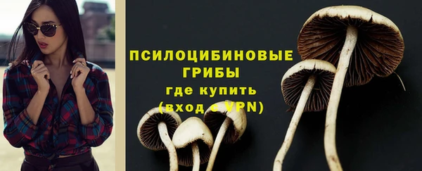 ПСИЛОЦИБИНОВЫЕ ГРИБЫ Верхний Тагил