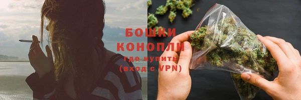 тгк Бородино