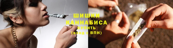 ПСИЛОЦИБИНОВЫЕ ГРИБЫ Верхний Тагил