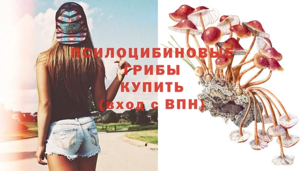 ПСИЛОЦИБИНОВЫЕ ГРИБЫ Верхний Тагил