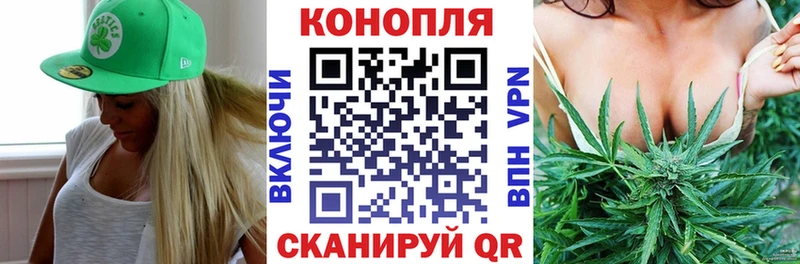 купить наркотик  Кимры  Марихуана тримм 